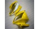 Amarelo Branco Preto Plástico R6 06-07 Amarelo Branco Preto Plástico R6 06-07