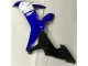 Azul Branco Abs Carenagem R1 02-03 Azul Branco Abs Carenagem R1 02-03