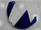 Branco Azul Carroçaria R6 06-07 Branco Azul Carroçaria R6 06-07