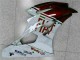 Castanho Branco Carenagem R6 06-07 Castanho Branco Carenagem R6 06-07
