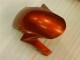 Castanho Carenagem CBR 1000RR 06-07 Castanho Carenagem CBR 1000RR 06-07