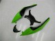 Preto Verde Vermelho Carenagem ZX6R 09-12 Preto Verde Vermelho Carenagem ZX6R 09-12
