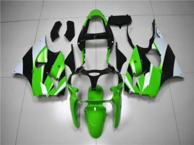 Verde Branco Preto Carenagem ZX6R 00-02