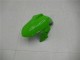 Verde Preto Prata Carenagem EX300 13-16 Verde Preto Prata Carenagem EX300 13-16